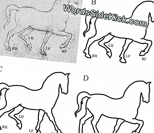 Leonardo da Vinci skice (A) parāda nepareizu pēdu novietojumu (B). C un D attēli parāda, kā attēlu var labot, lai zirgs pareizi staigā.