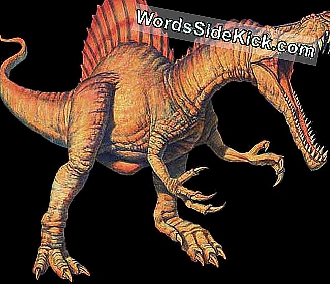 Spinozaurs: Lielākais Gaļēdāju Dinozaurs