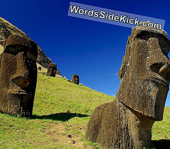 Påskeøen (Rapa Nui) & Moai Statuer