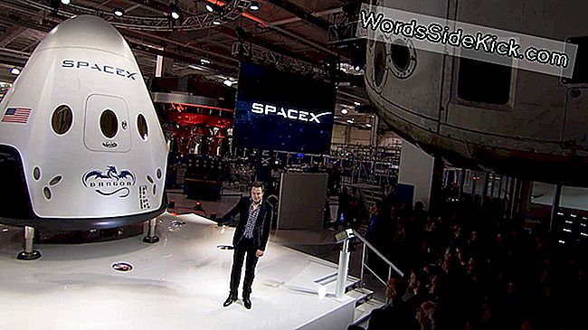 エロンマスクのビジョン:世界を変える5つの革新的なアイデア - 2023 | 文化