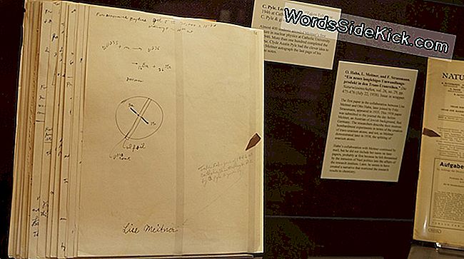 La física Lise Meitner, que jugó un papel muy importante en el descubrimiento de la fisión, llegó a los Estados Unidos en 1946 para dar una conferencia durante un semestre en la Universidad Católica de América en Washington, DC, donde aparentemente un estudiante tuvo la previsión suficiente para pedirle su autógrafo.. Sus notas de clase firmadas están en exhibición.
