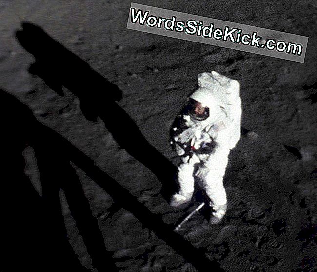 1969. gada 20. jūlijā Apollo 11 astronauts Neils Ārmstrongs kļuva par pirmo cilvēku, kurš staigāja uz Mēness. Ārmstrongs šeit ir attēlots neilgi pēc Mēness putekļu un iežu parauga savākšanas. Viņam pie kājas ir paraugu savākšanas rīka rokturis.