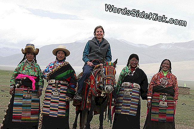 Cynthia Beall zná tyto tibetské kočovné ženy více než 20 let. Vrátila se do svého tábora, aby studovala, jak tibetští nomádové přežívají ve svém drsném prostředí ve výškách.