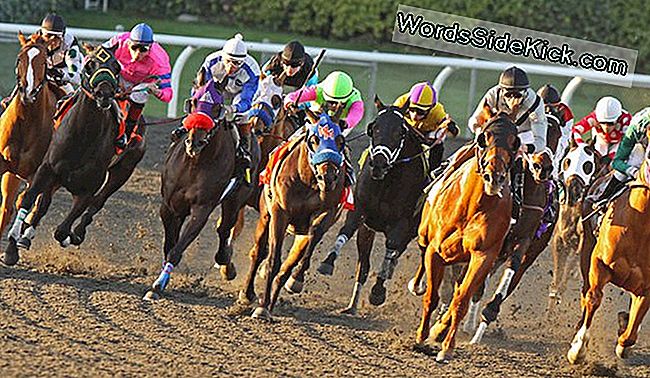 Neden Kentucky Derby Atları Böyle Çılgın Isimler Var?