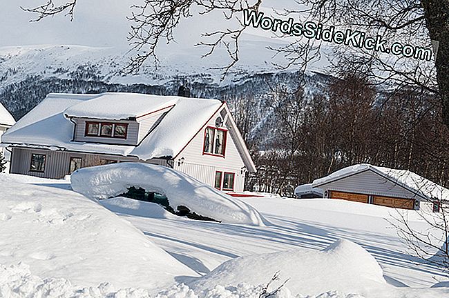 Cómo El Clima De Invierno Puede Afectar Las Admisiones Hospitalarias