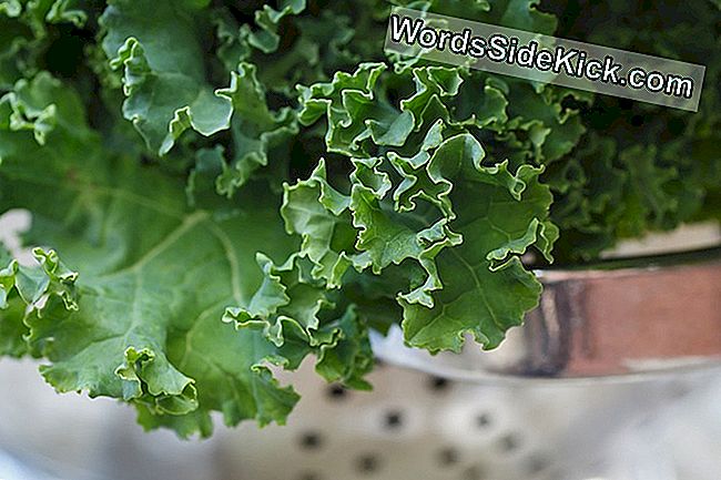 Kale: Benefícios Para A Saúde E Fatos Nutricionais