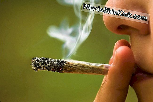 Pot'S Dark Side: Wahnvorstellungen, Psychotische Symptome