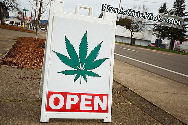 Pot-Shop-Työntekijät Saattavat Suositella Väärää Marihuanaa
