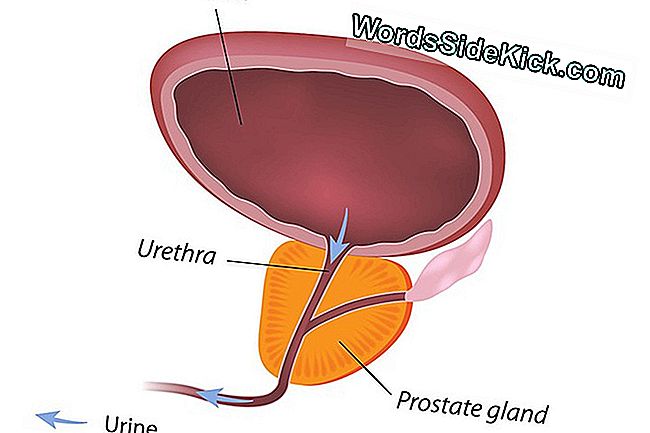 Cancer De La Prostate: Symptômes, Diagnostic Et Traitements