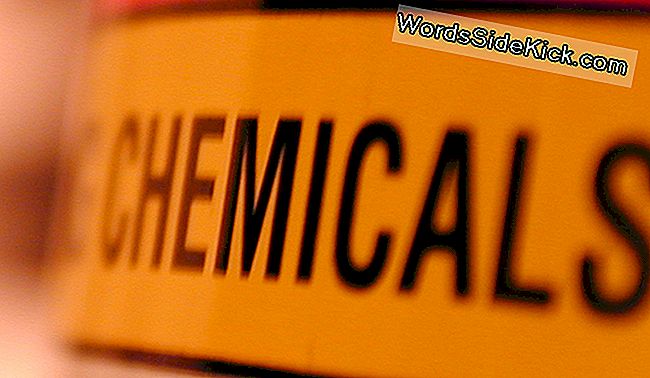 Токсичният Химически Закон Не Успява Да Защити Децата, Лекарите Таксуват