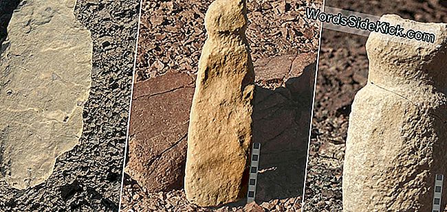 İnsan kası taş oymalar da 100 kült alanda bulunmuştur.