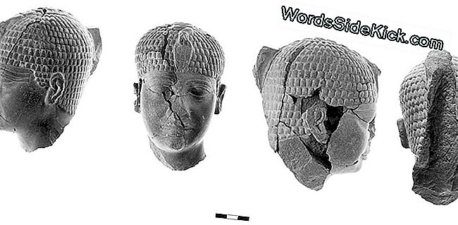 4.300-Årige Statuehoved Præsenterer Mystery Pharaoh