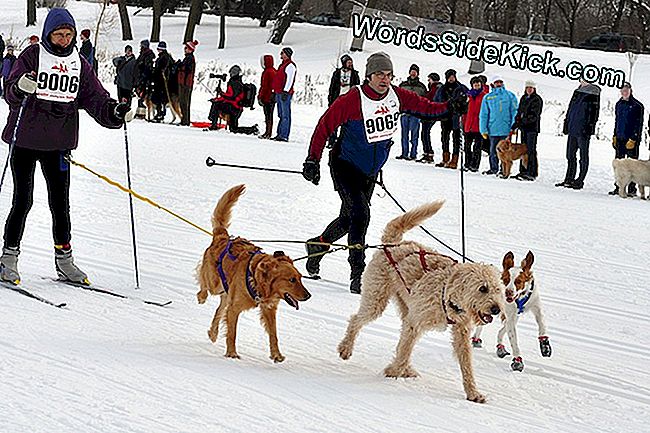 6 Zimskih Olimpijskih Sportova Koji To Nikad Nisu Činili