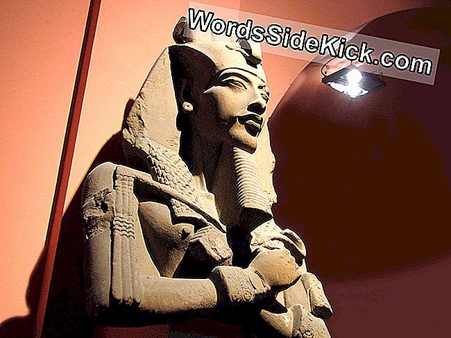 Akhenaton: Pharaon Égyptien, Mari De Néfertiti, Père De Tut