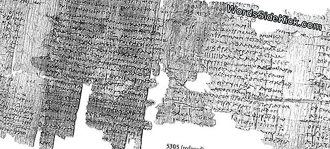 Papirii Antici „Nebuni Libi” Conțin Vrăji Rele De Sex Și Subjugare