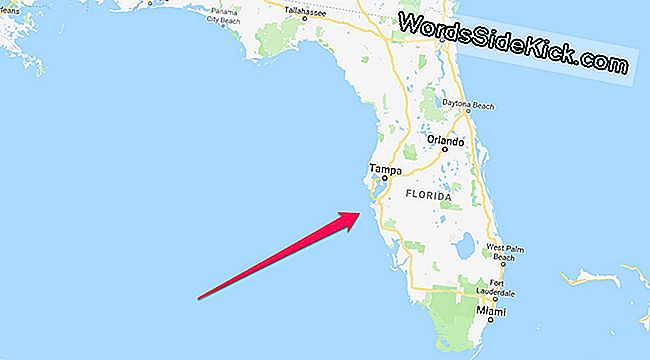 Situl De Înmormântare A Anticului Nativ American A Fost Descoperit În Largul Coastei Florida