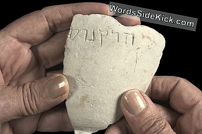 ชามหินโบราณค้นพบในกรุงเยรูซาเล็มผู้เชี่ยวชาญงงงวย