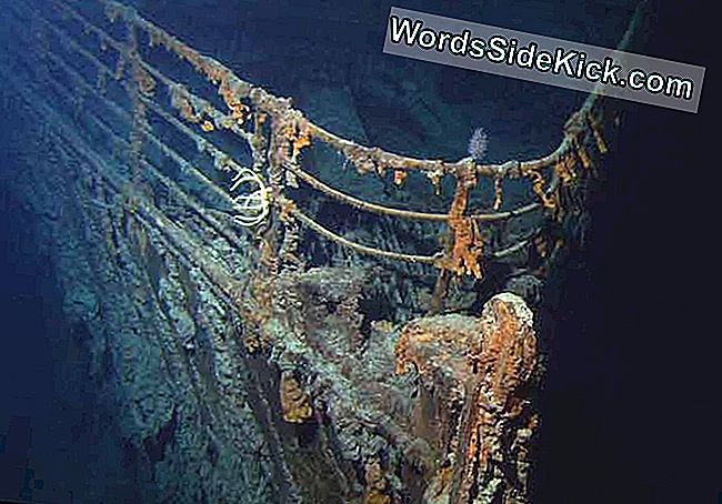 Le Désastre Du Titanic Pourrait-Il Se Produire Aujourd'Hui?