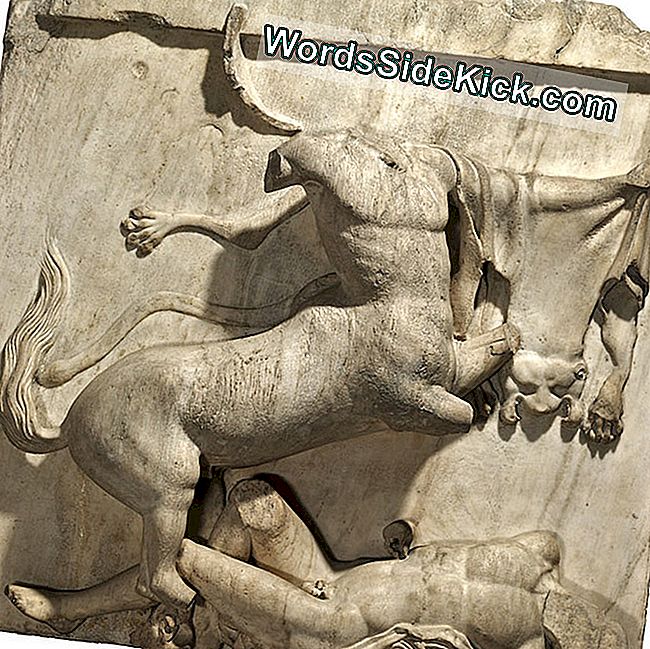 Un metopo representa una batalla entre un centauro y un hombre de Lapith.