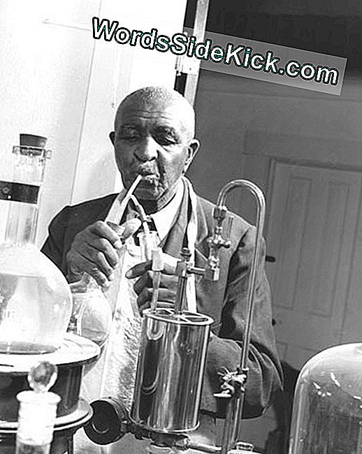 George Washington Carver travaillant dans son laboratoire.