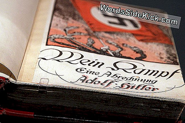 Препечатът На „Mein Kampf“ На Хитлер Надпреварва Немската Класация За Най-Продавани