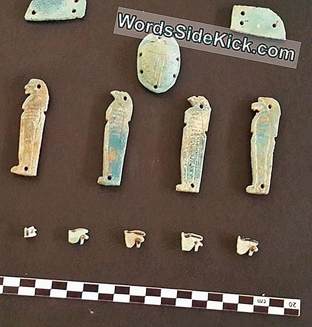 Visuose kapuose yra iš fajanso pagamintų amuletų liekanos. Kai kurie amuletai yra Egipto dievybių formos, pvz., Anubis, šakalas, mirusiųjų dievas.