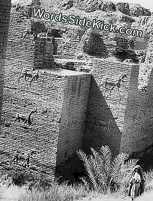 Ishtar Gate: Grand Entrance To Babylon