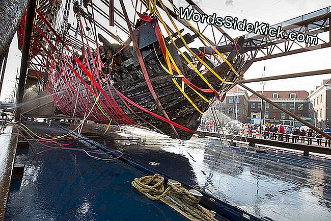 El barco de fondo plano de madera fue descubierto por primera vez en 2012, mientras una organización nacional estaba llevando a cabo investigaciones para preservar la seguridad del agua en el río holandés.