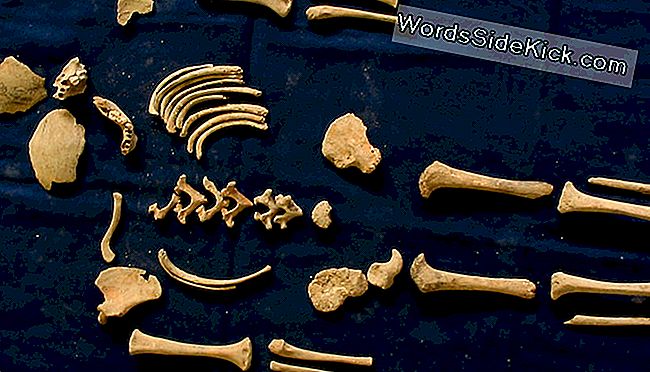 Die Knochen eines römischen Kleinkindes aus dem Casal-Bertone-Mausoleum lassen darauf schließen, dass der 18 Monate alte Säugling gerade entwöhnt wurde, als er starb.