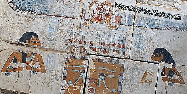 Een geschilderde scène van de Neith, de godin van oorlog en wijsheid, en Nut, godin van de hemel, die het canopische schrijn van de farao Woseribre Senebkay beschermt.