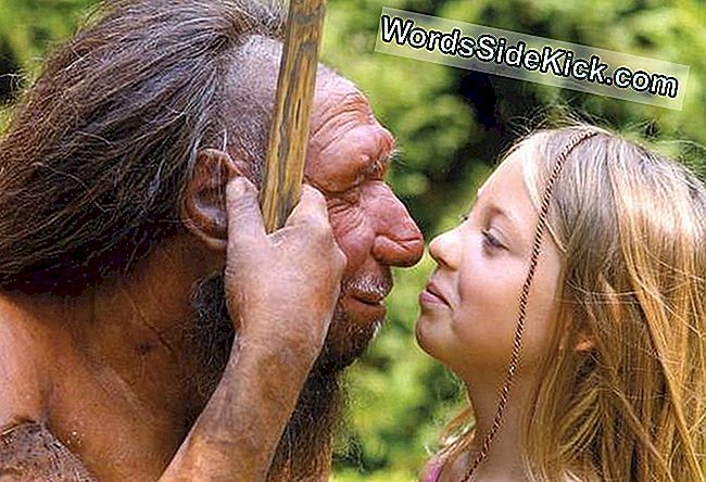 I Neanderthal Sono Condannati Da Cervelli Centrati Sulla Vista