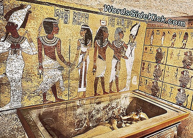 Nefertiti Stadig Mangler: King Tut'S Tomb Show No Hidden Chambers