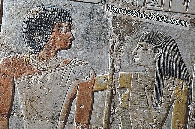 Pyramid-Age-Rakkaus Paljastui Kirkkaassa Värissä Egyptiläisessä Haudassa