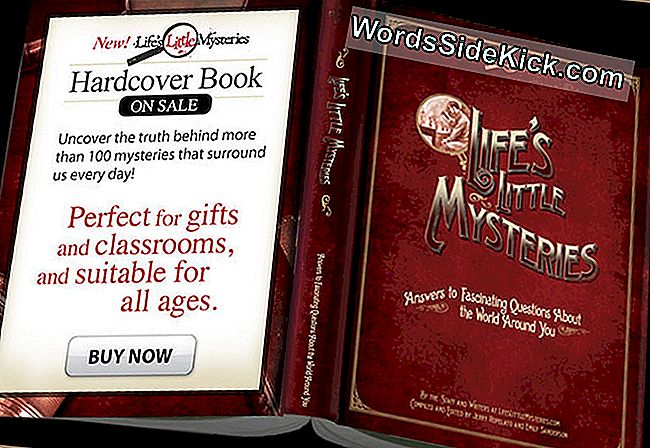 Die kleinen Geheimnisse des Lebens gebundenes Geschenkbuch. 193 Seiten. Antworten auf faszinierende Fragen zur Welt um Sie herum. Kaufen Sie hier