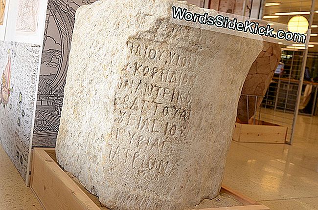 Stenpladen er udstillet på universitetet i Haifa's bibliotek.