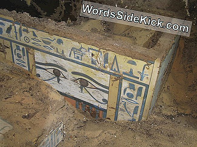 ¿Quién Fue Sattjeni? La Tumba Revela Secretos Sobre La Élite Egipcia Antigua