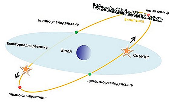 Есенно Равноденствие: 5 Странни Факта За Есента