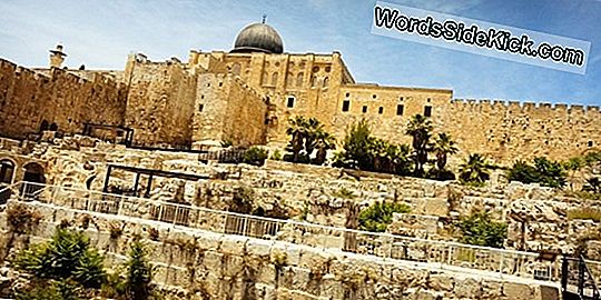 Масада: Крепостта На Зелотите