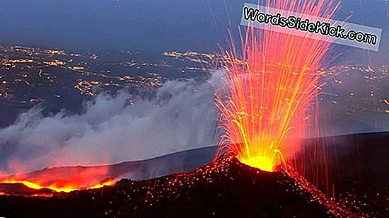 Вулканите Изтръгнаха Най-Много Живот Преди 250 Милиона Години