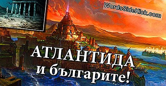 Древните Резервоари На Маите Открити В Руините На Града