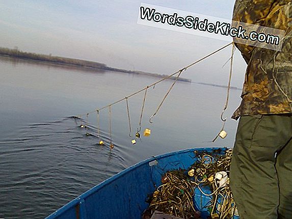 Защита Срещу Тръмп: Какво Е В Магическо Заклинание?