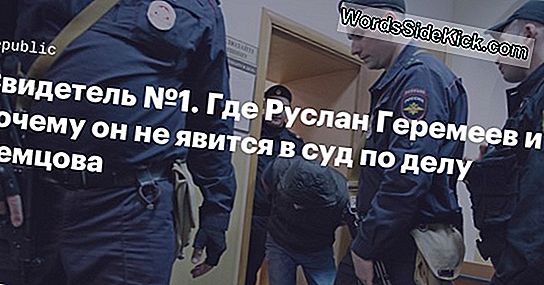 Свидетел На Убийство На Птици: Защо Папагалите Са Толкова Велики Мимики