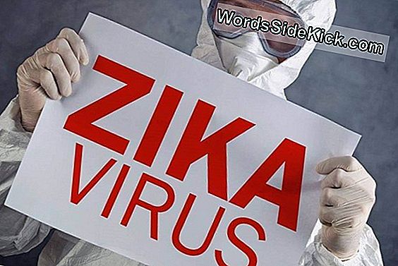 Zika Virus: Симптоми, Риск, Лечение И Профилактика