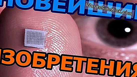 Топ 5 Изобретения На Древните Ацтеки