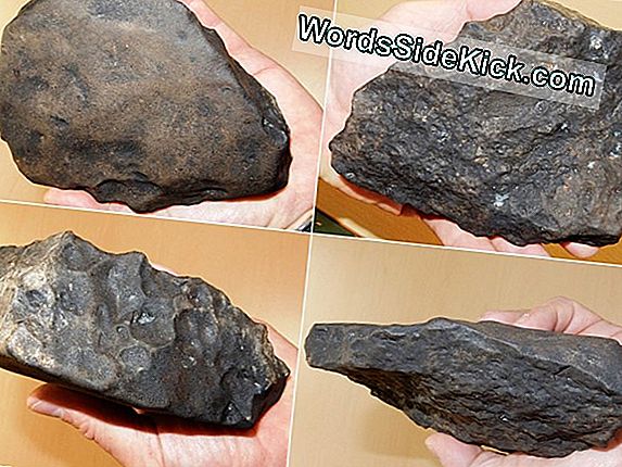 Hledání Meteoritů V Poušti Ománu