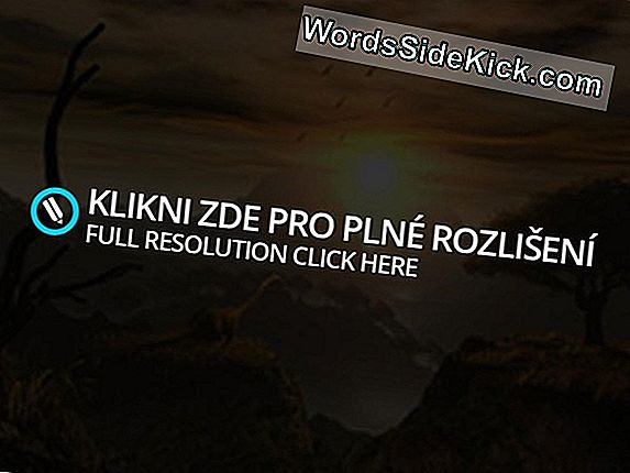 Pterosauři Velikosti Kamionu A Roviny Jednou Přeletěli Nad Dinosaury