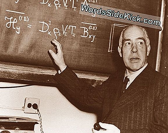 Niels Bohr: Biografie A Atomová Teorie - 2024 | Dějiny