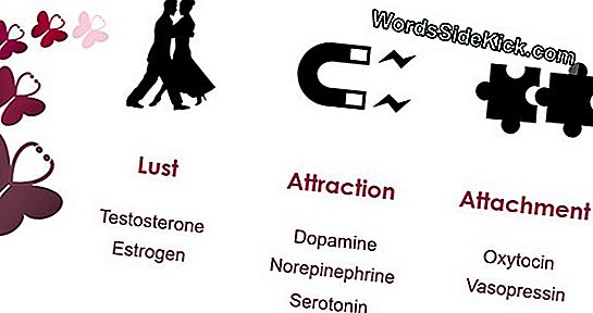 'Love Hormone' Oxytocin Kan Intensivere Orgasmer