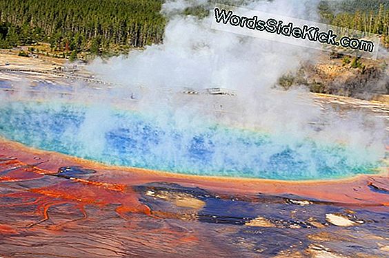 Yellowstone Supervolcano'Is Avastati Üllatav Tegevus