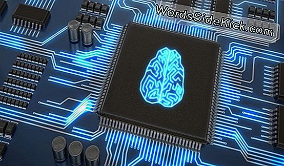 Molekylære Computer Mimics Human Brain